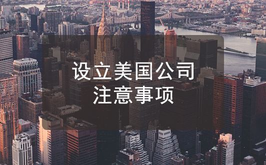 設(shè)立美國公司的基本注意事項(xiàng),不容錯過